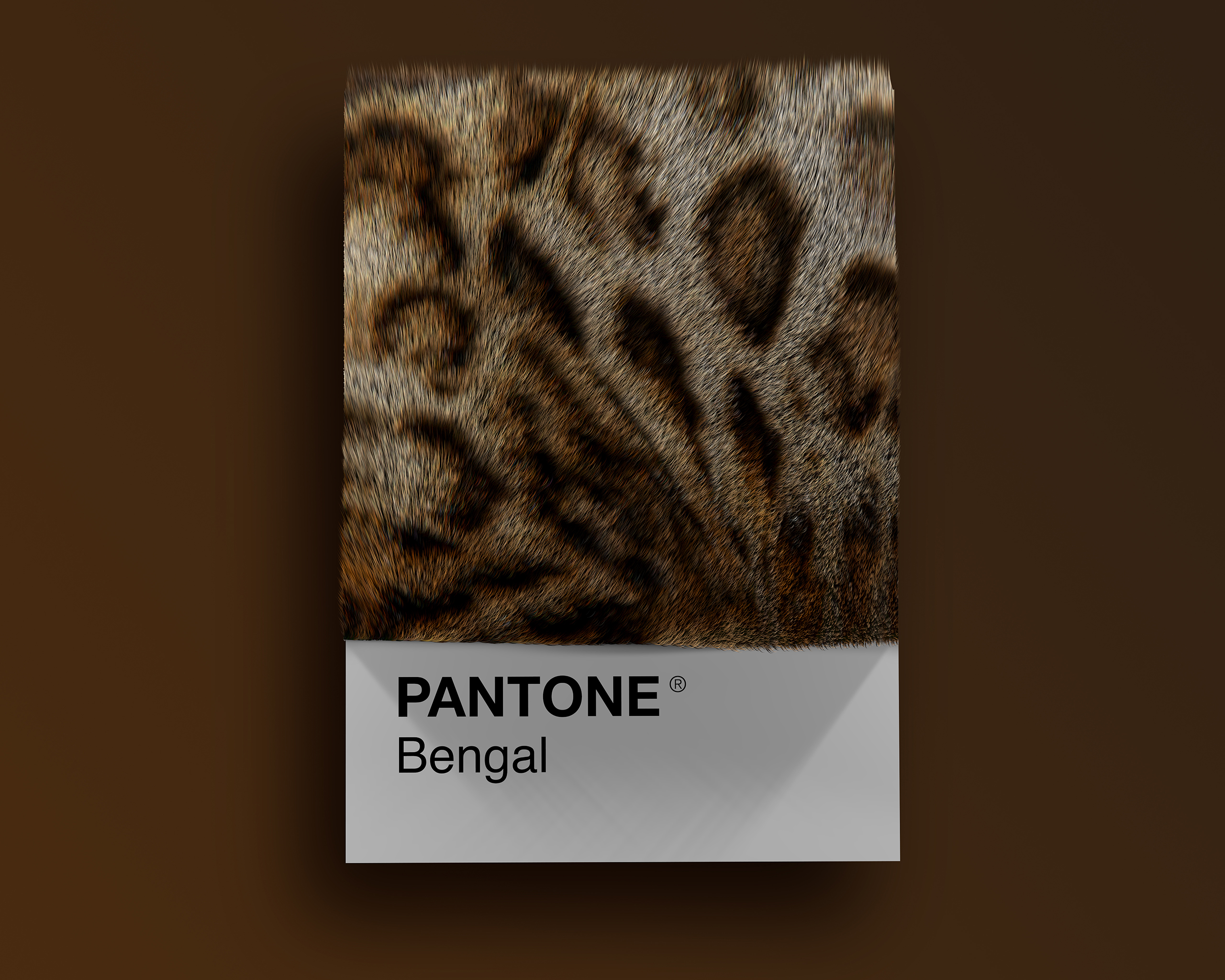 Bengal as Pantone