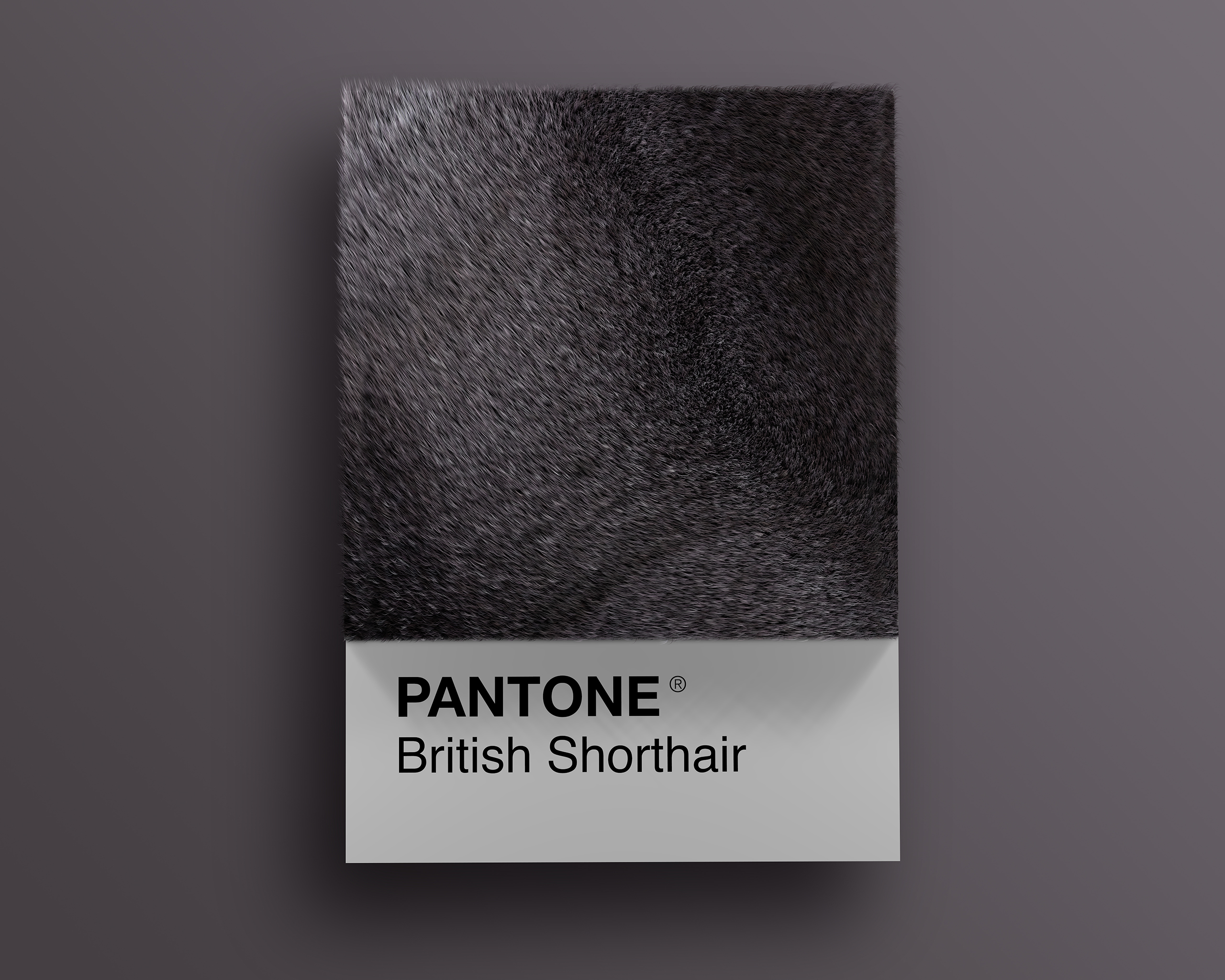 British as Pantone