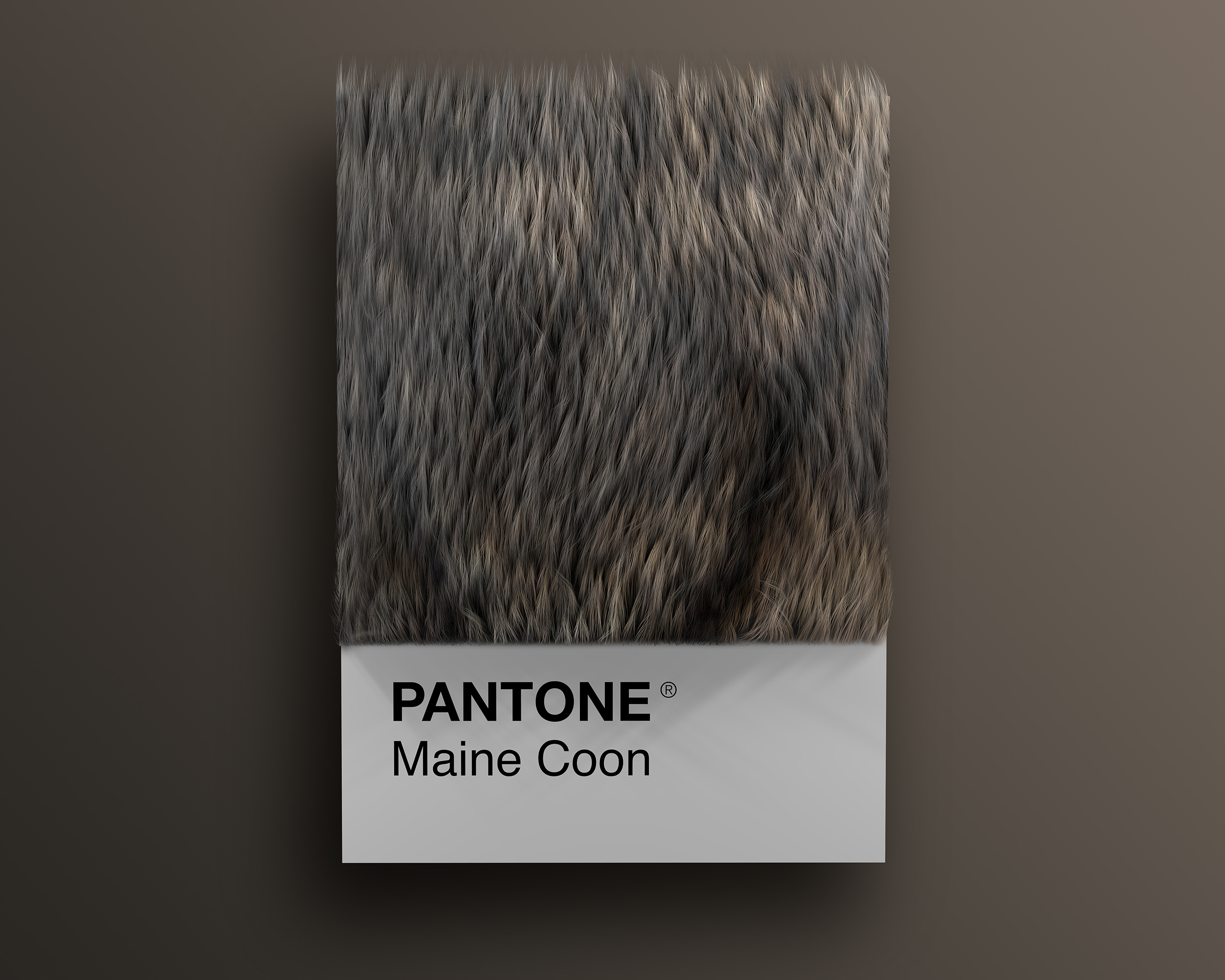 Maine_Coon as Pantone