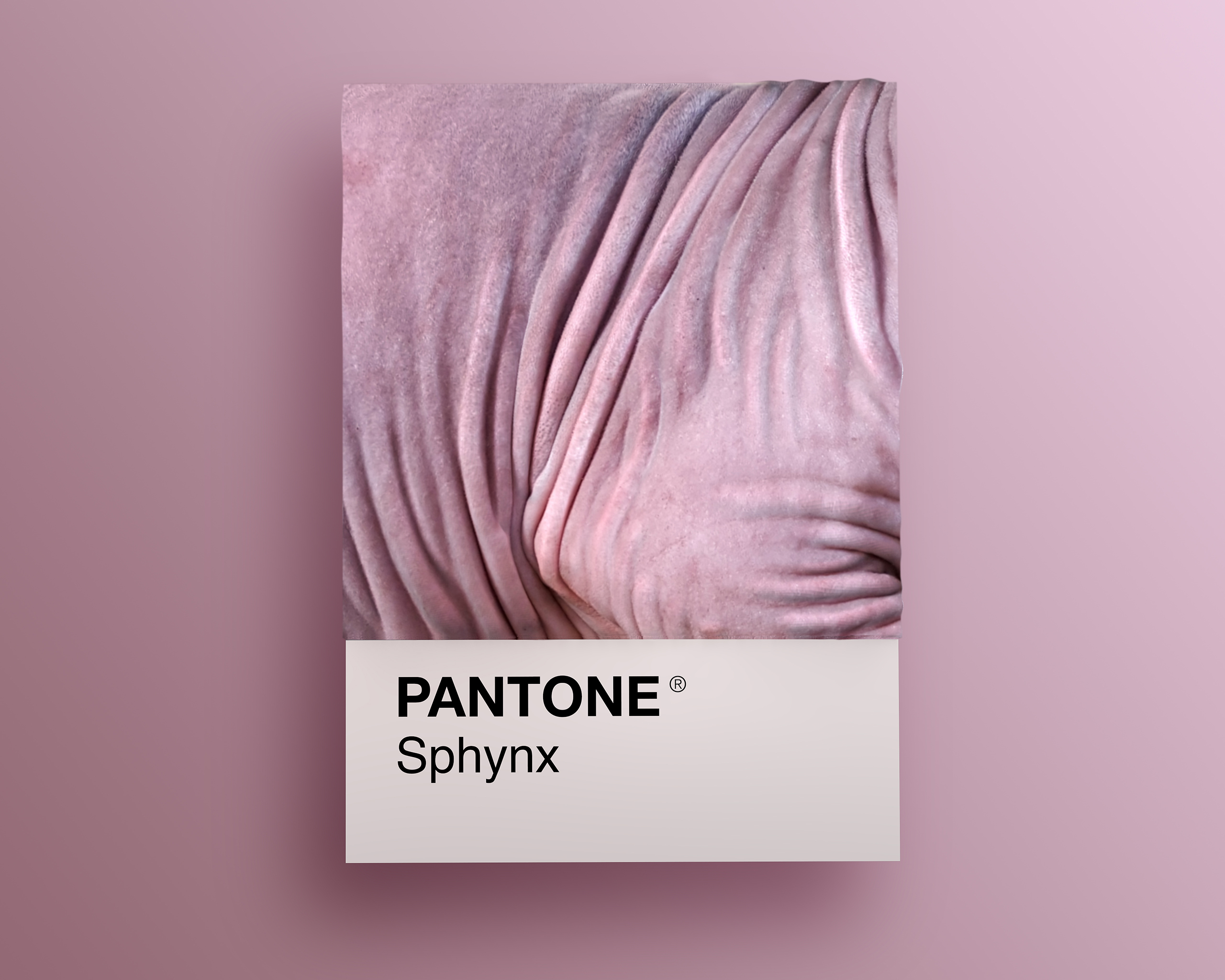 Sphynx as Pantone