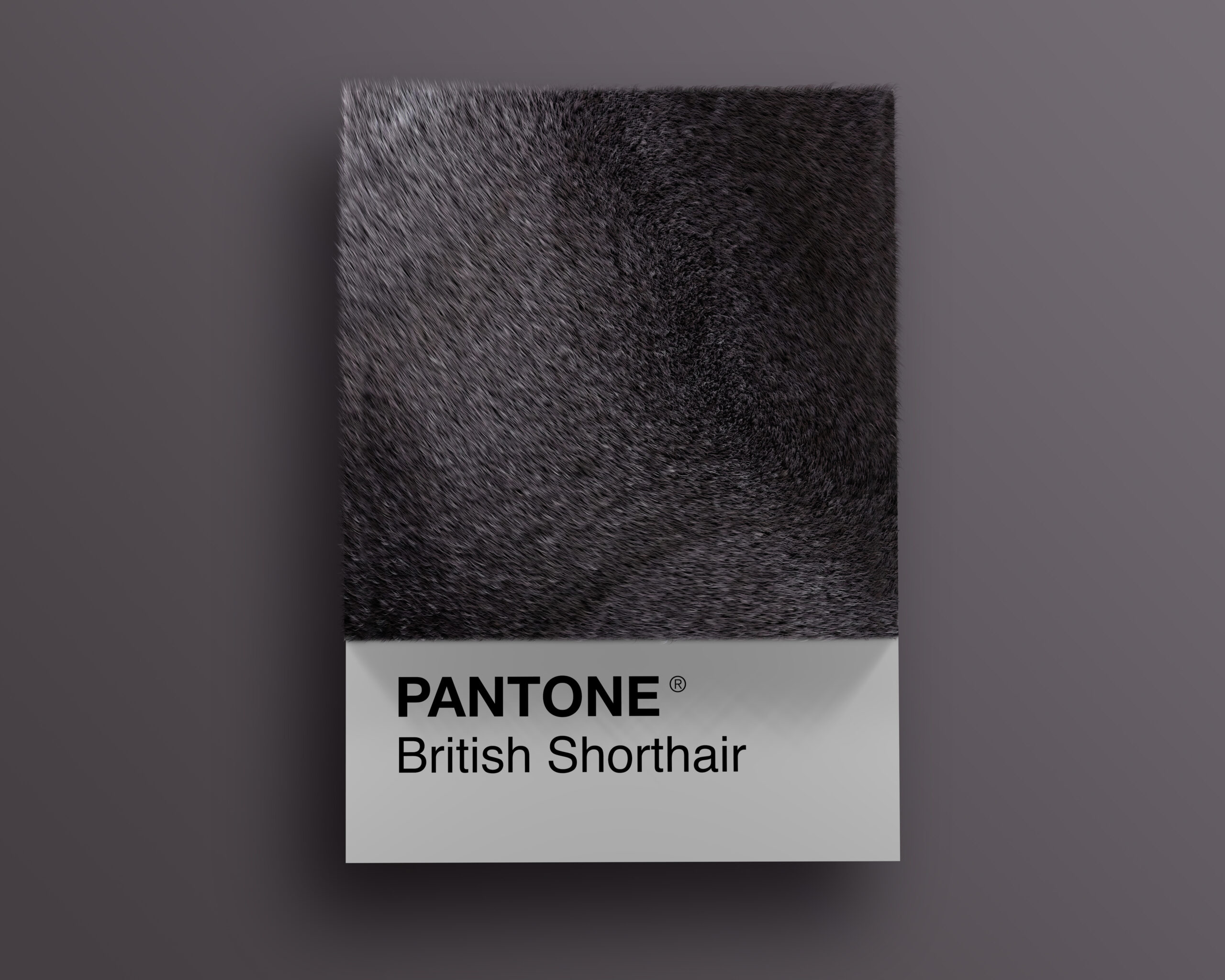 British Pantone