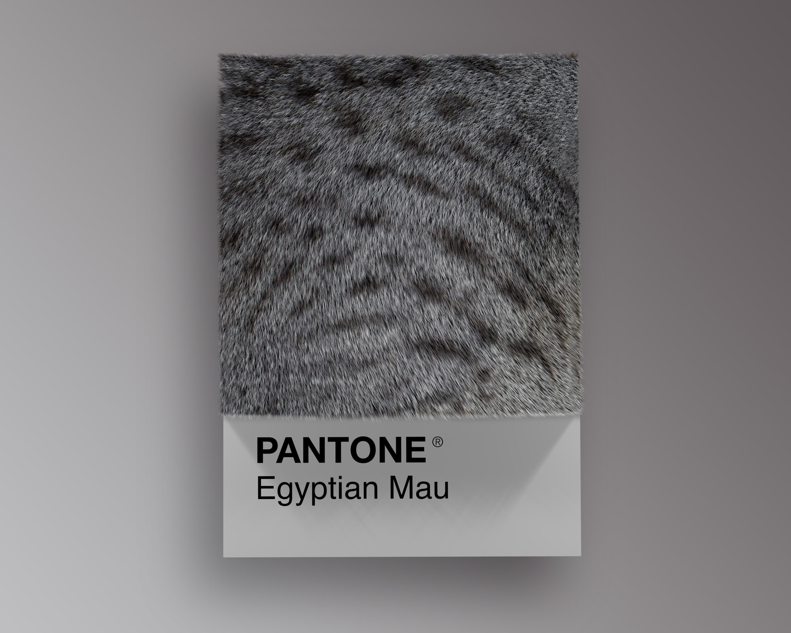Egyptian Pantone