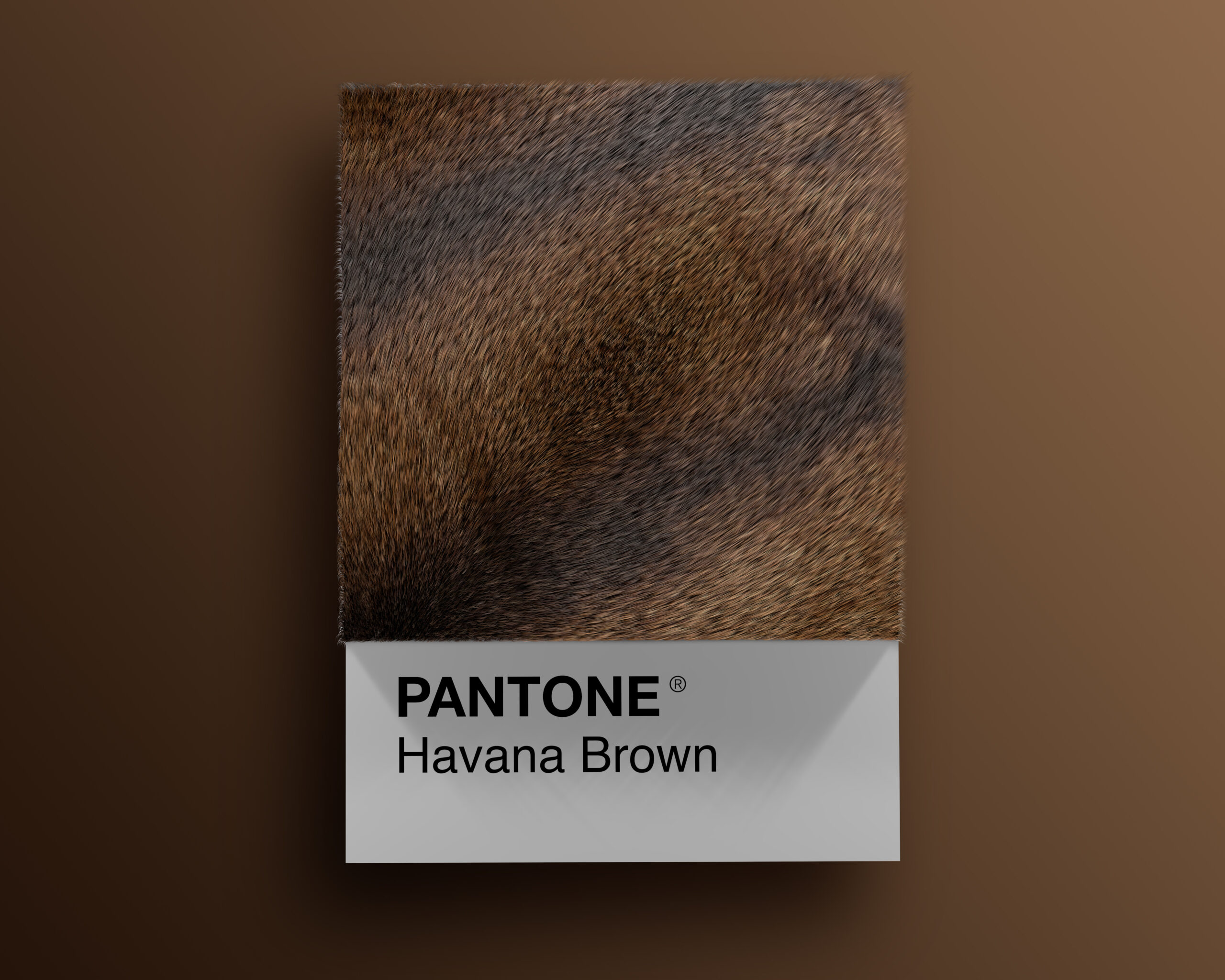 Havana_Brown Pantone