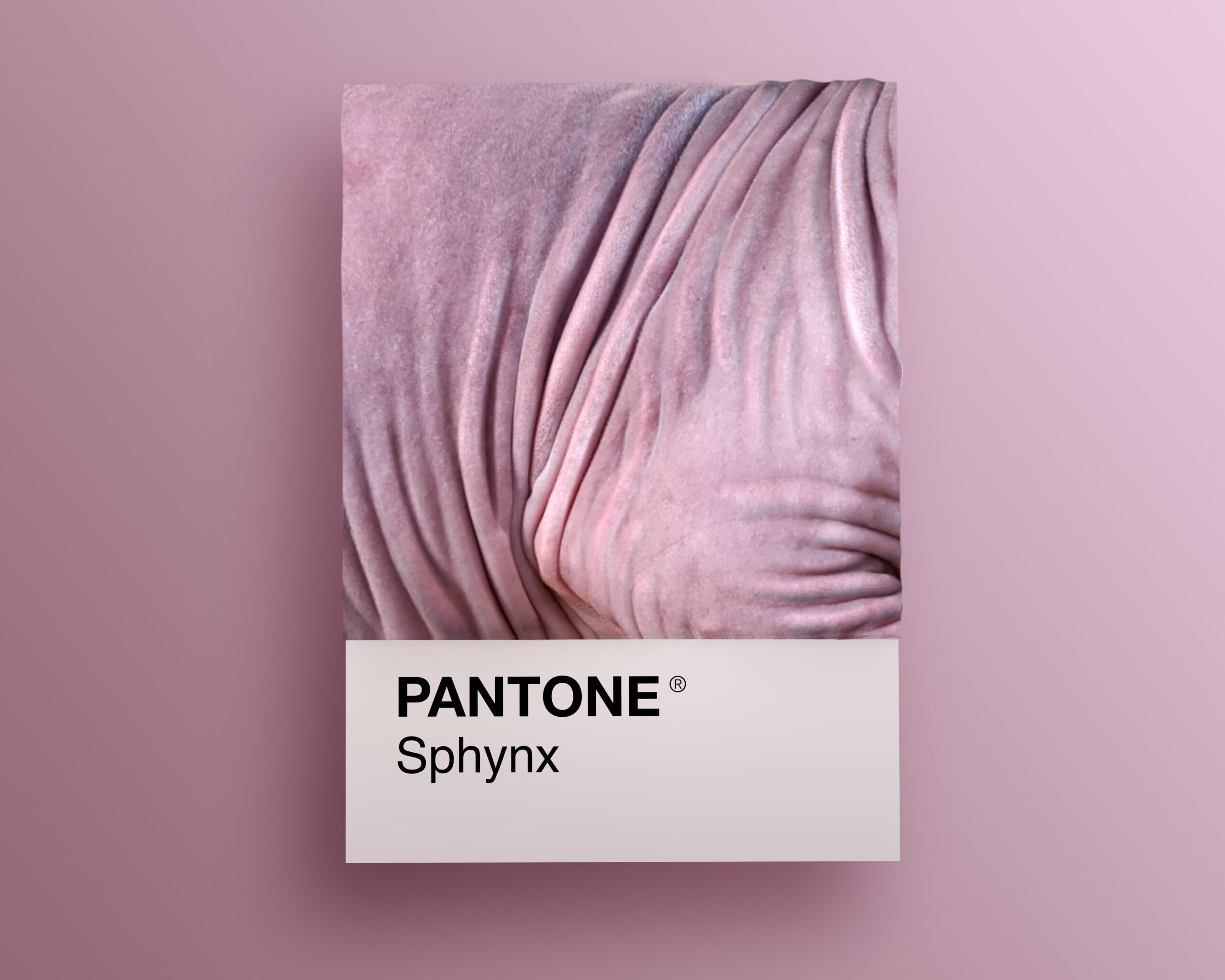 Sphynx Pantone